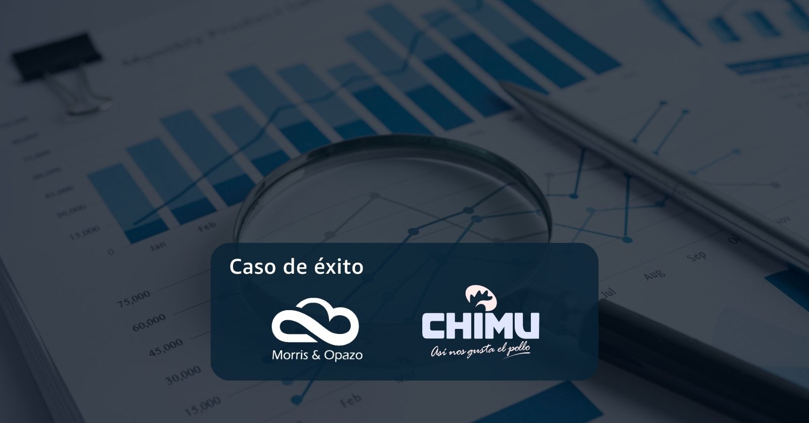 Caso de éxito: Desarrollo de plataforma analítica para el proceso de toma de decisiones – Morris Opazo