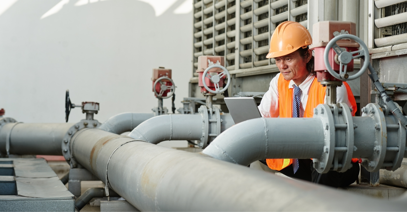 Proyecto | Plataforma en la Nube para el Mantenimiento de Gasoductos: Eficiencia y Datos en Tiempo Real | Dulce Sánchez